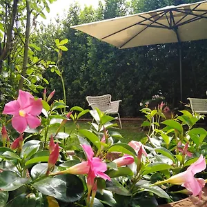 Bio Vivere La Bed & Breakfast